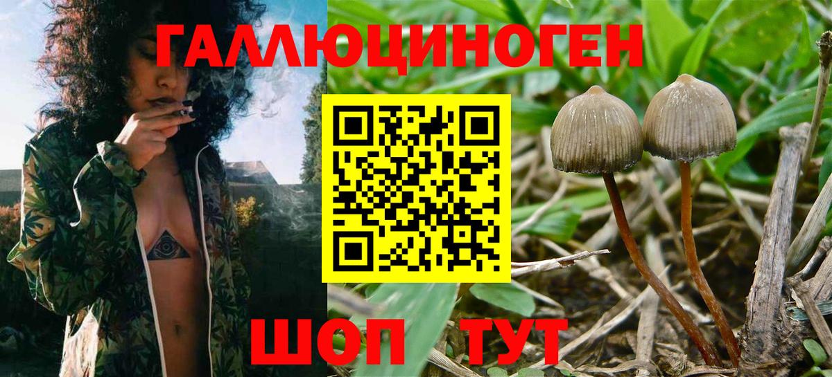 Альметьевск  Псилоцибиновые грибы мухоморы  Галлюциногенные грибы MAGIC MUSHROOMS  Вход с VPN 
